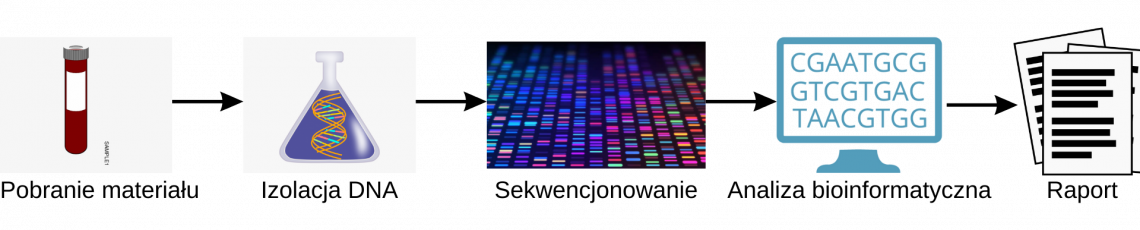 Genetyczny Profil - CMS Code